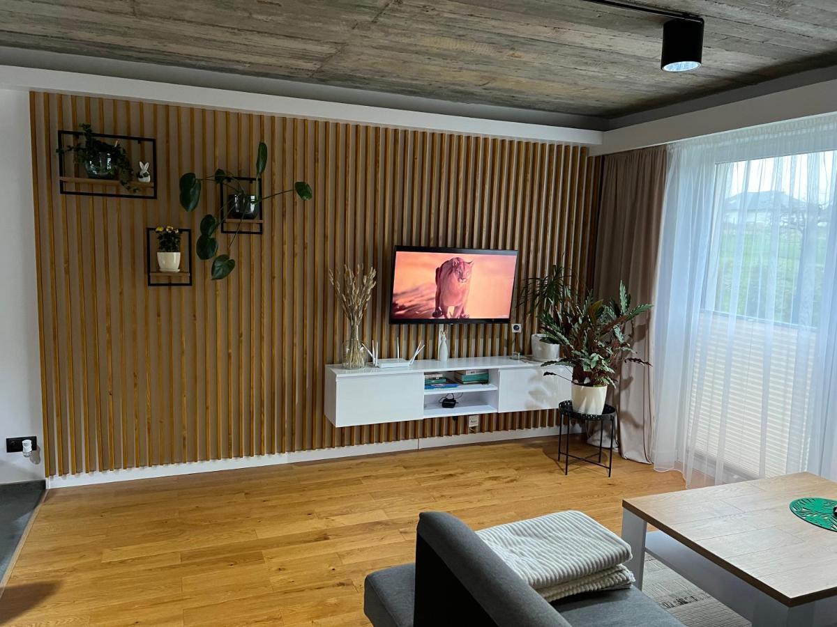 Ms House * Zywiec