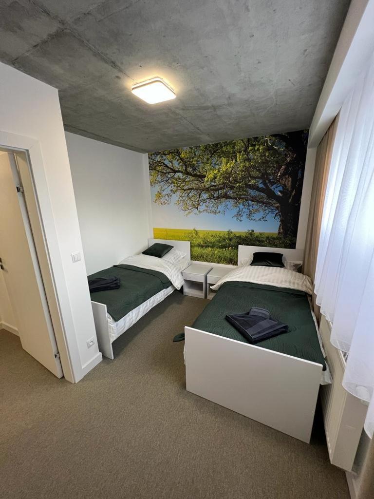 Apartment Ms House Zywiec